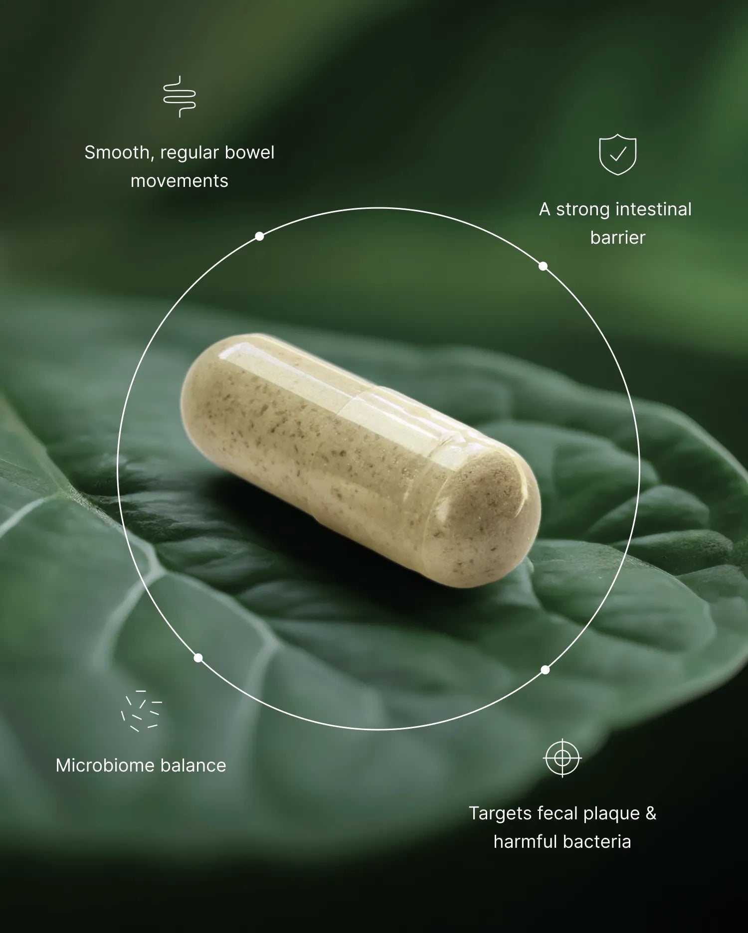 Elimipure Gut Cleanse Supplement | Black Walnut Wormwood Clove Detox